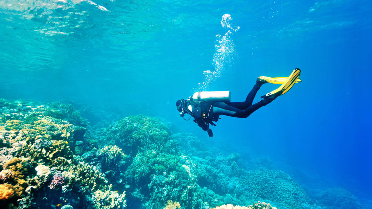 scuba-diving-maldives